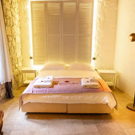 La Grenadine מלון *