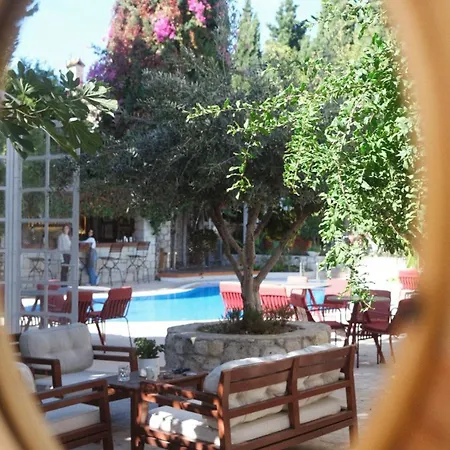 La Grenadine אלאקאטי